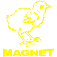Chick Magnet Shirt