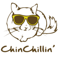 ChinChillin' Funny T-Shirt