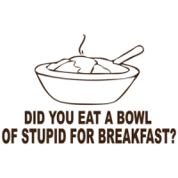 Did You Eat A Bowl Of Stupid For Breakfast Funny T-shirt