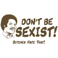Don't Be Sexist, Bitches Hate That T-shirt 