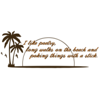I Like Poetry, Long Walks On The Beach And Poking Things With A Stick Funny T-shirt