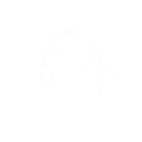 It's Showtime - Beetlejuice T-Shirt - 80's T-Shirt