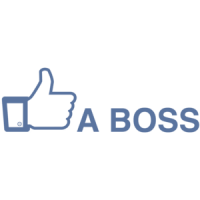Like A Boss Funny Facebook Shirt