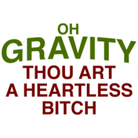Oh Gravity, Thou Art a Heartless Bitch T-Shirt