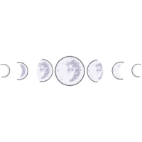 Stages of moon t-shirt