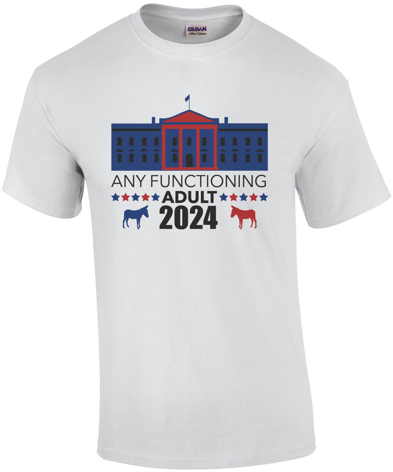 Any Functioning adult - 2024 - Funny 2020 Election Political T-Shirt