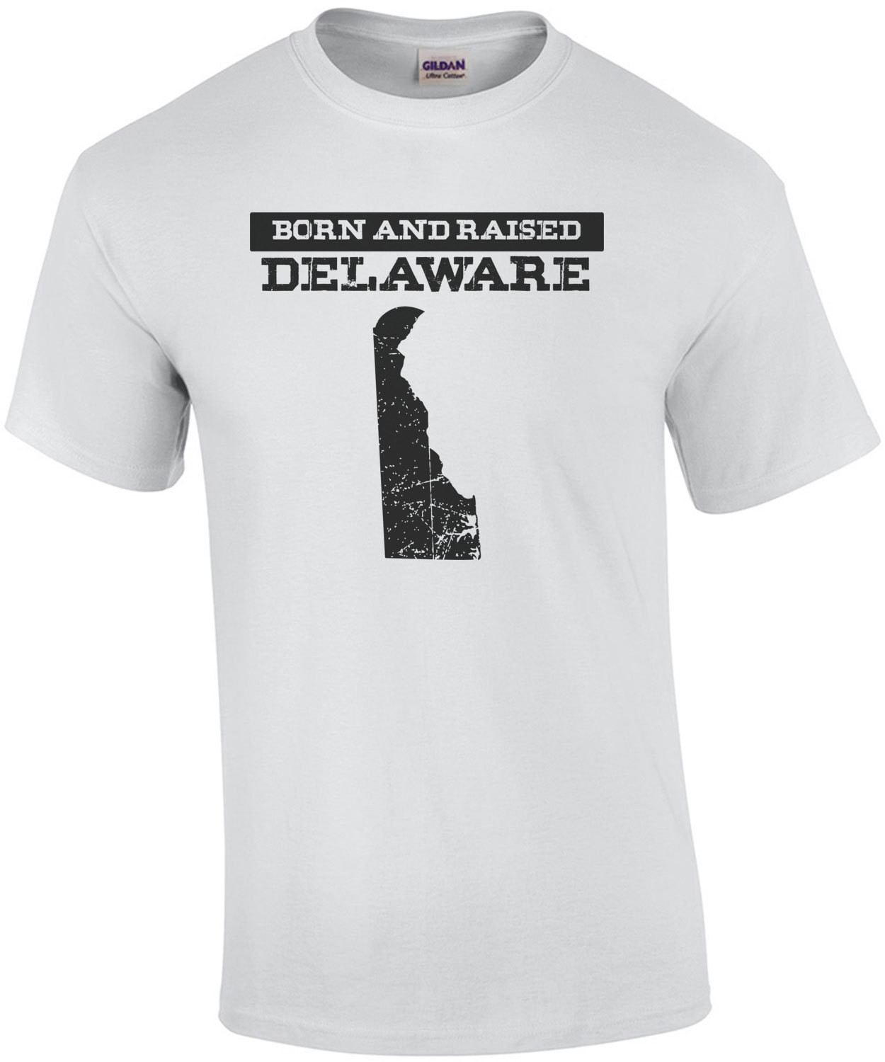 Delaware - Born and Raised. Delaware T-Shirt