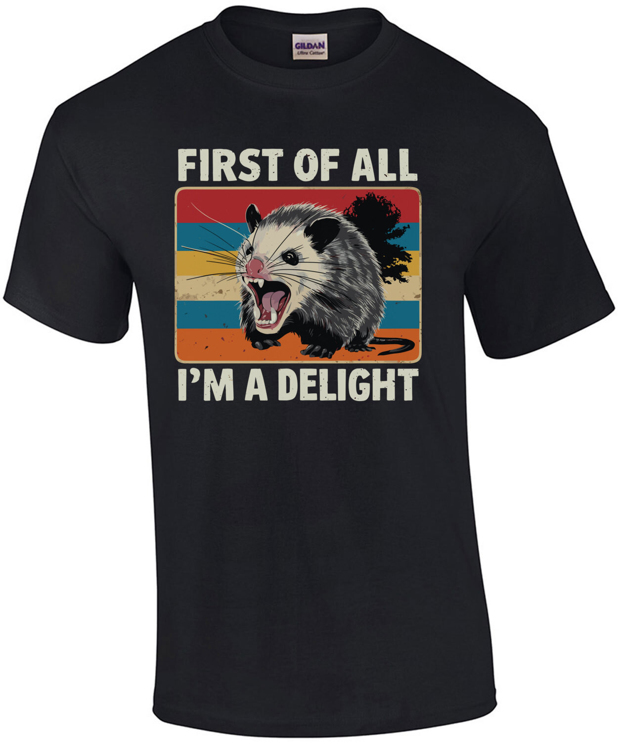 First Of All I'm A Delight, Funny Sarcasm Shirt, Sarcastic Angry Opossum, Cute Sarcastic, Funny Ladies Shirt 