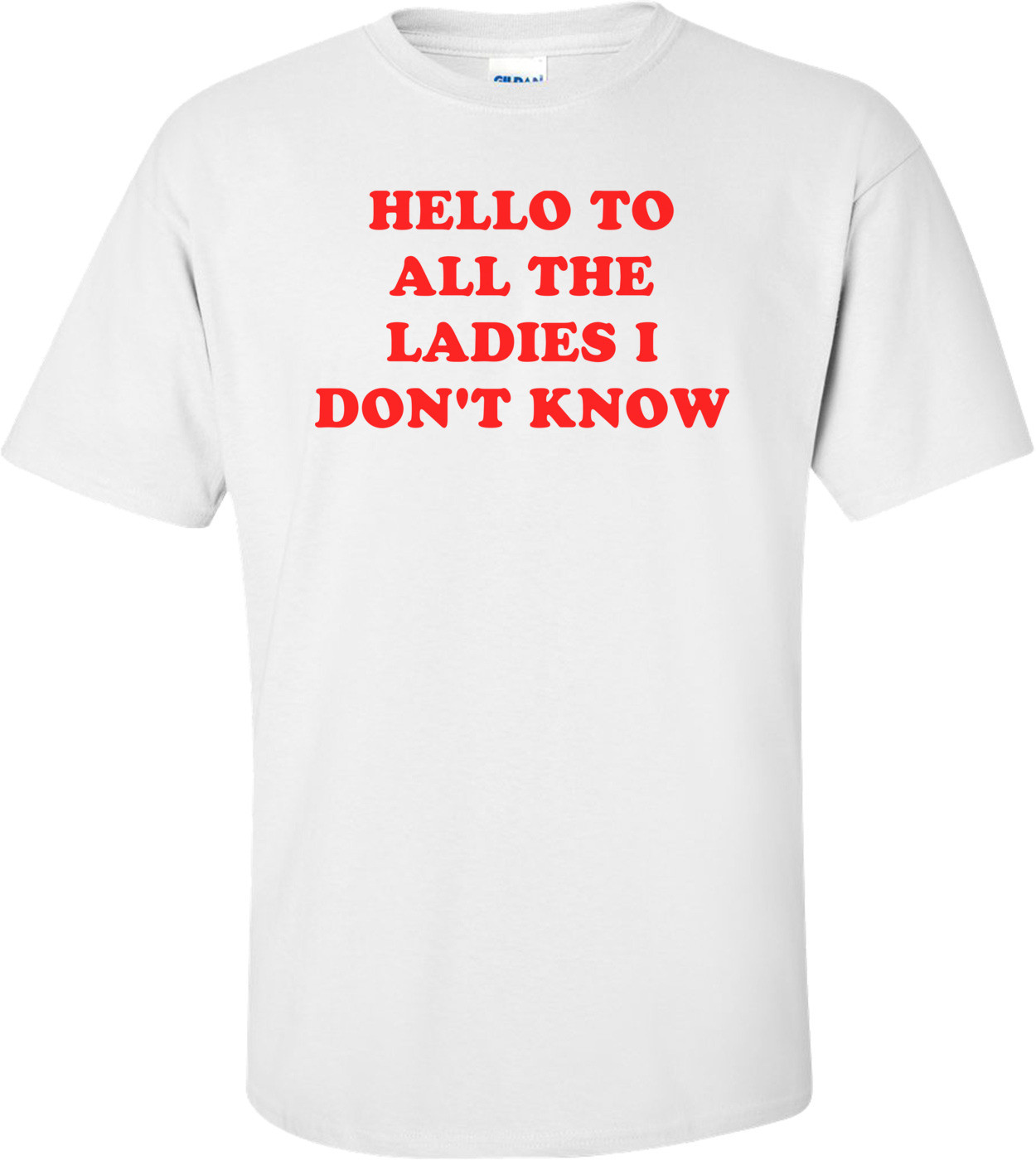 HELLO TO ALL THE LADIES I DON'T KNOW Shirt