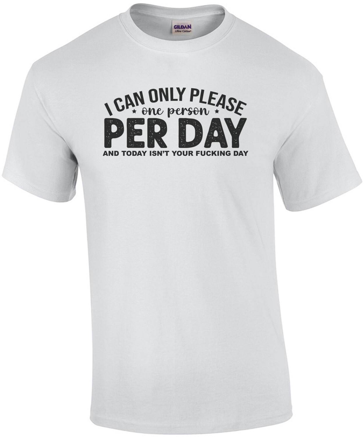 I can only please one person per day and today isn't your fucking day. Funny Sarcastic T-Shirt