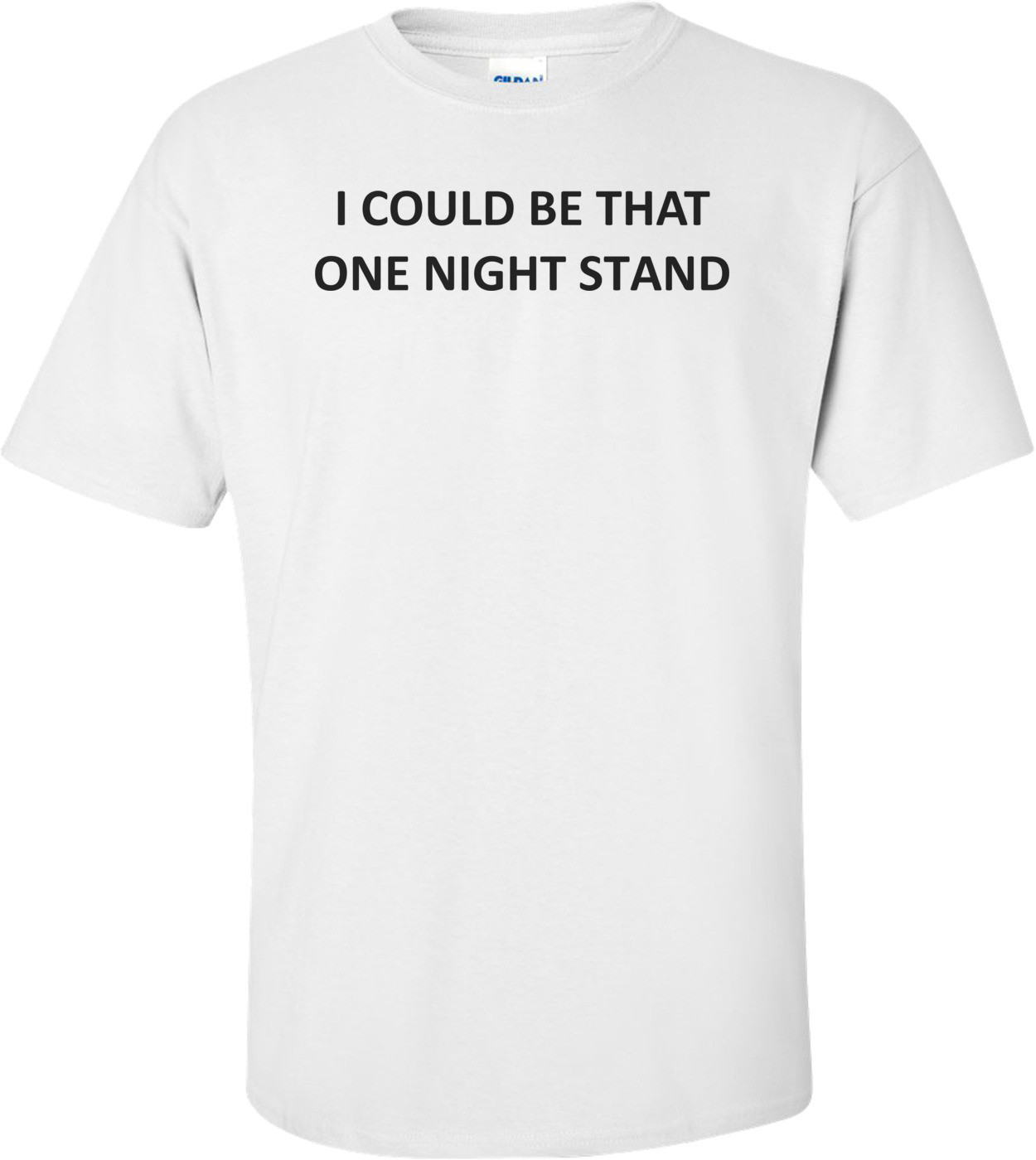 I COULD BE THAT ONE NIGHT STAND Shirt