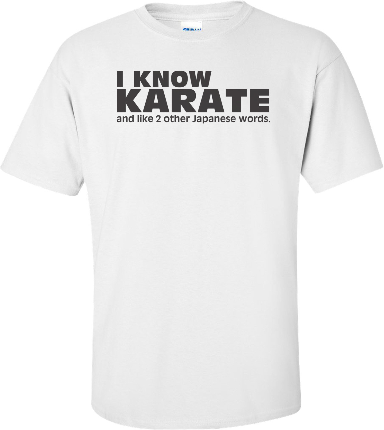 I Know Karate, And Like 2 Other Japanese Words T-shirt