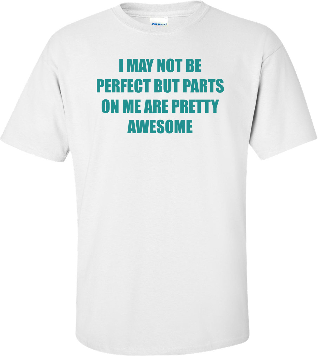 I MAY NOT BE PERFECT BUT PARTS ON ME ARE PRETTY AWESOME Shirt