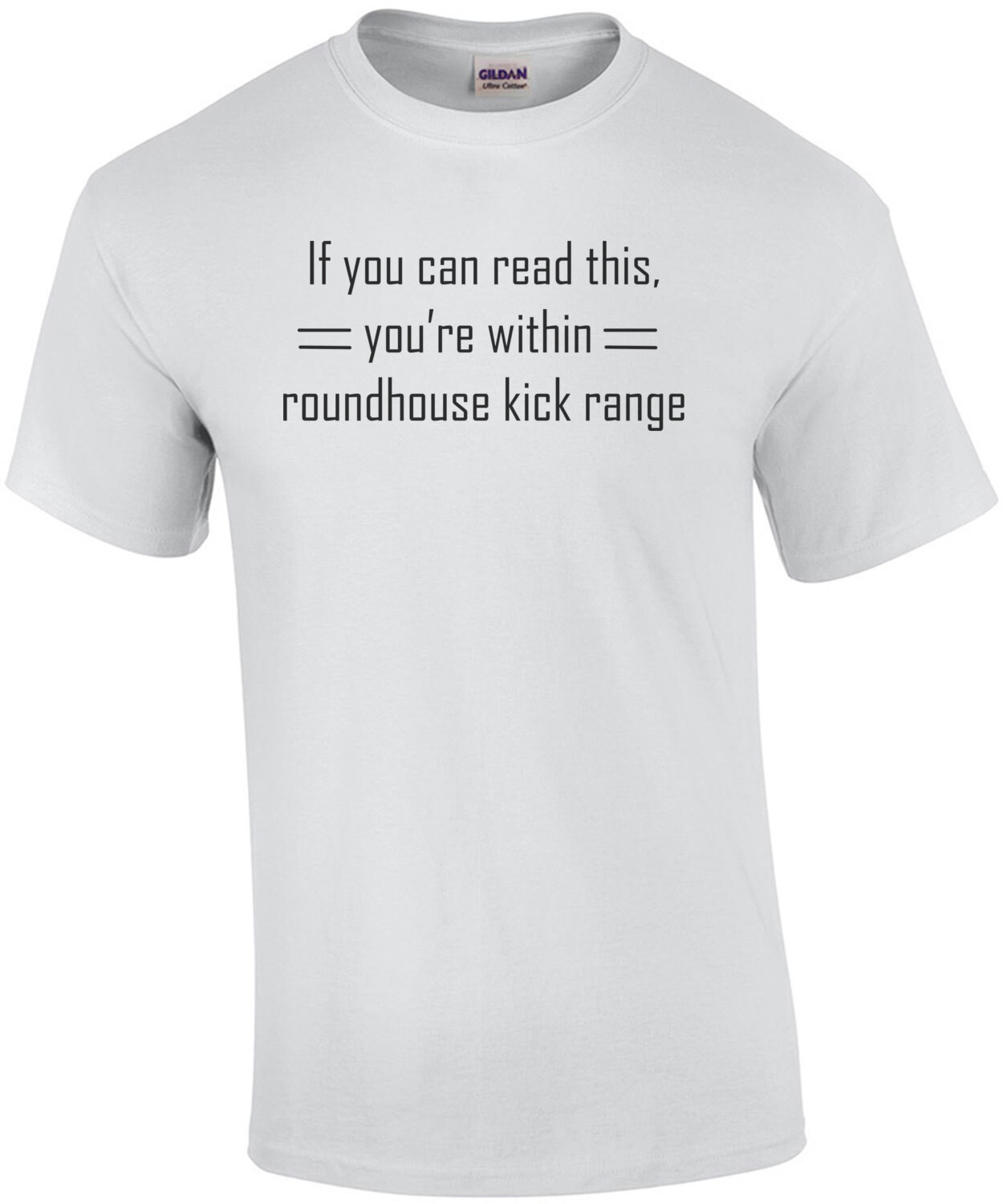 If You Can Read This, You're Within Roundhouse Kick Range T-Shirt