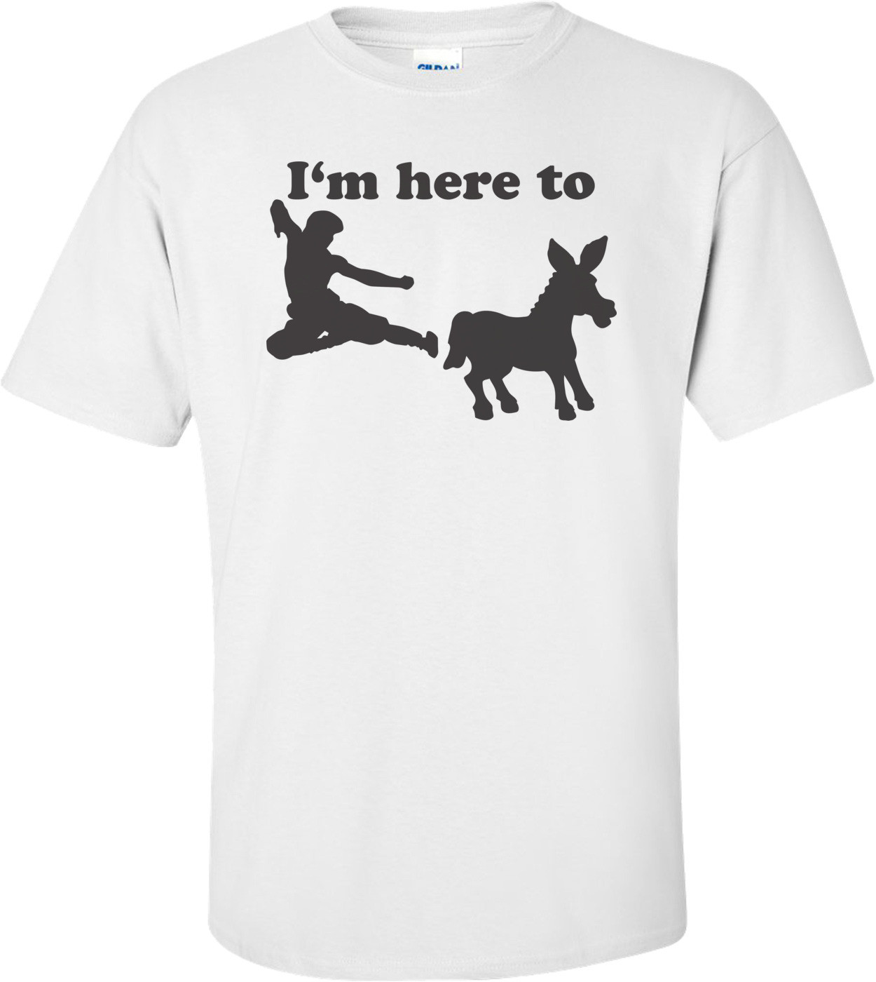 I'm Here To Kick Ass T-shirt