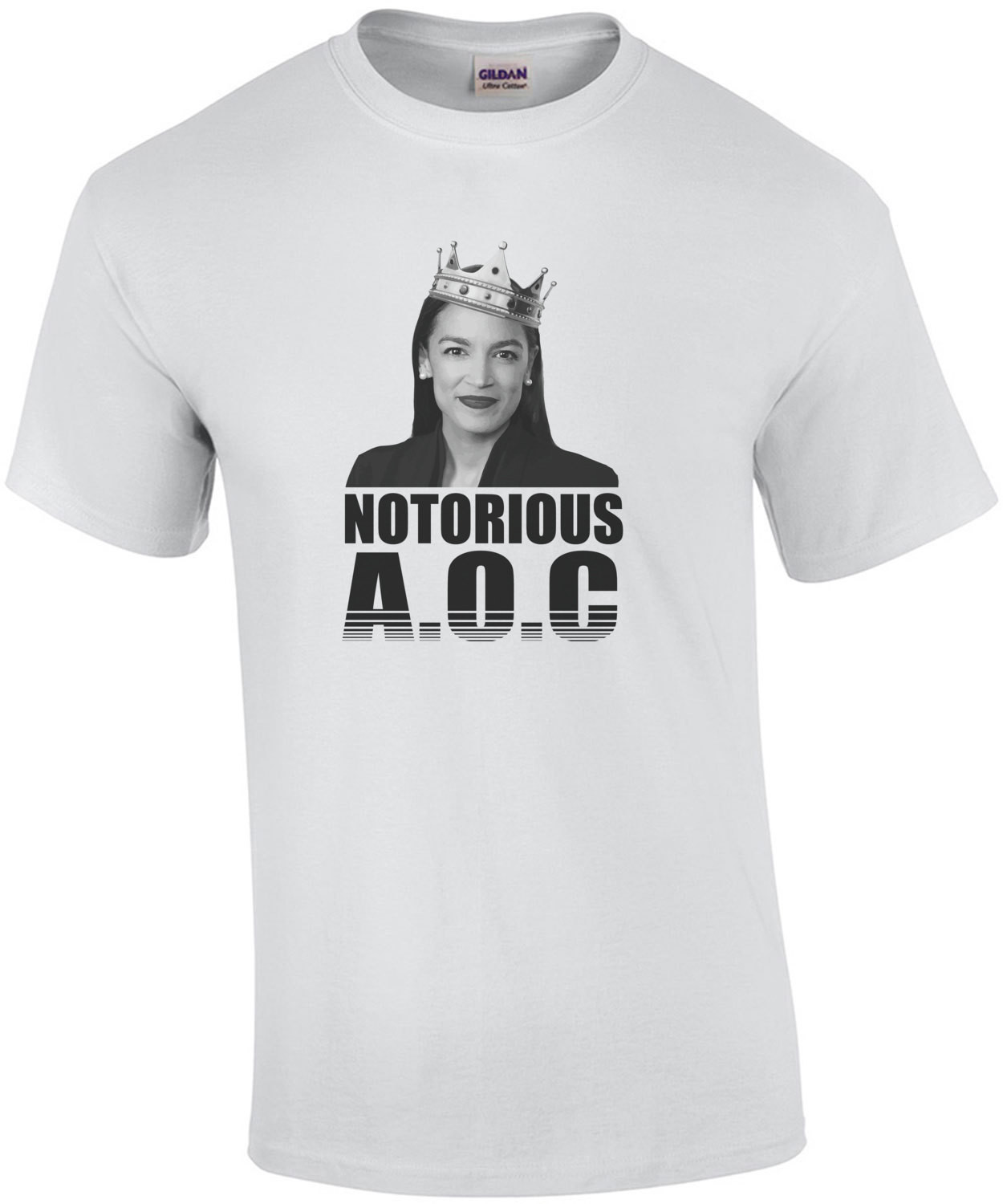 Notorious AOC - Alexandria Ocasio-Cortez T-Shirt - Election 2024 T-Shirt