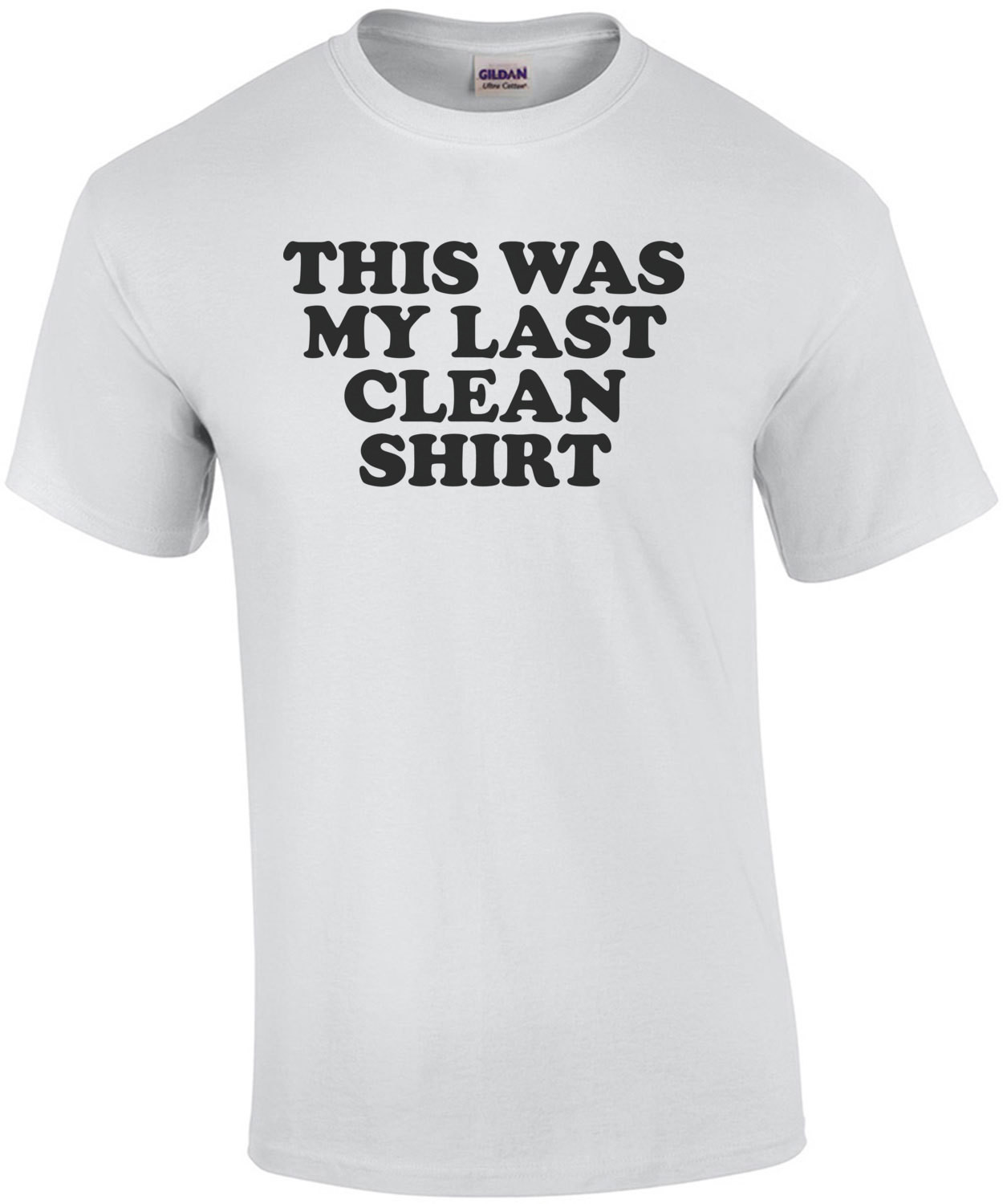 This Is My Last Clean Shirt Funny Tee