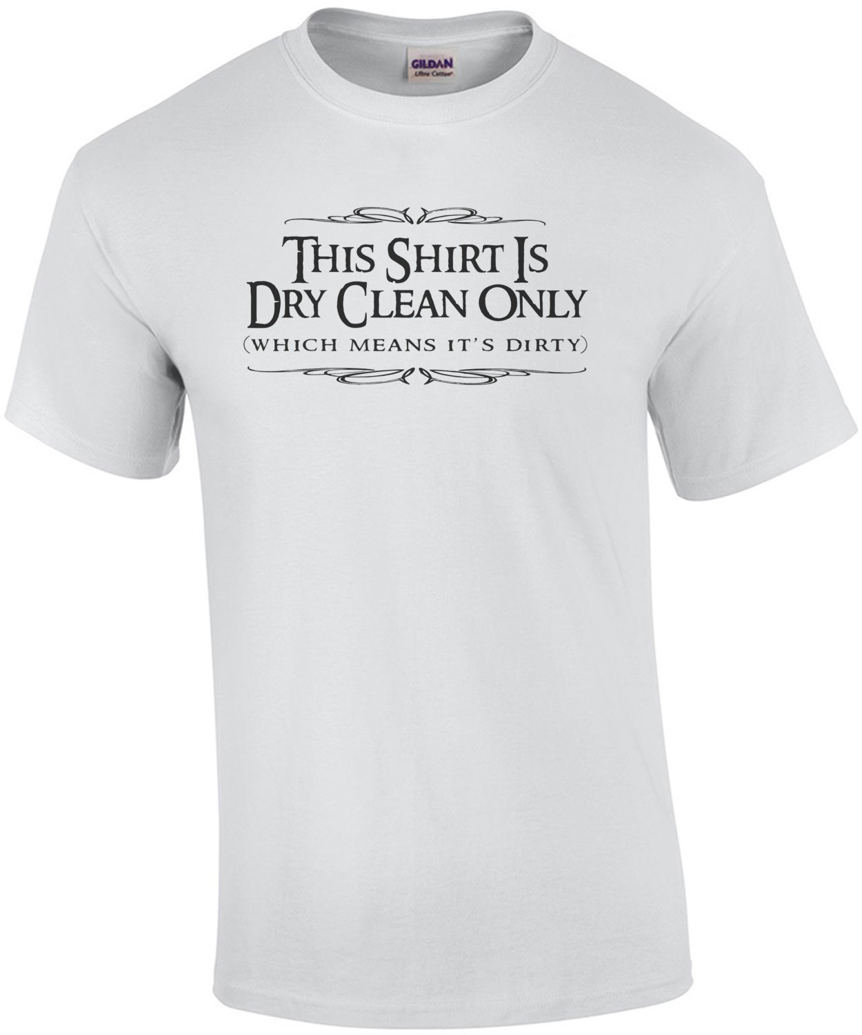 This Shirt Is Dry Clean Only - Which Means It's Dirty - Funny T-Shirt