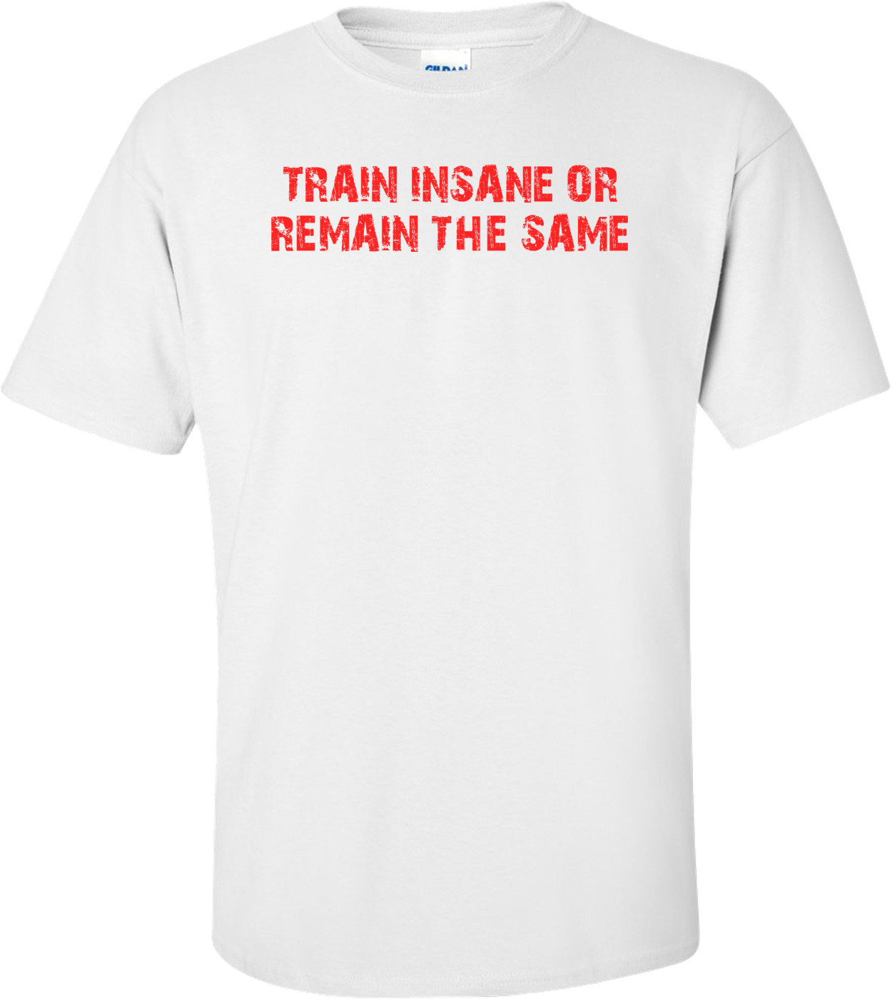 TRAIN INSANE OR REMAIN THE SAME Shirt