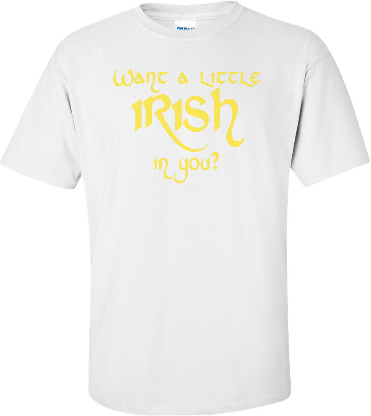 Want A Little Irish In You Shirt