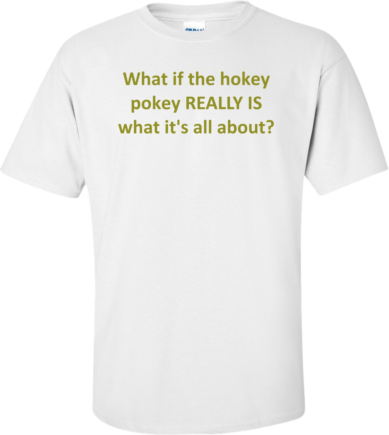 What if the hokey pokey REALLY IS what it's all about? Shirt