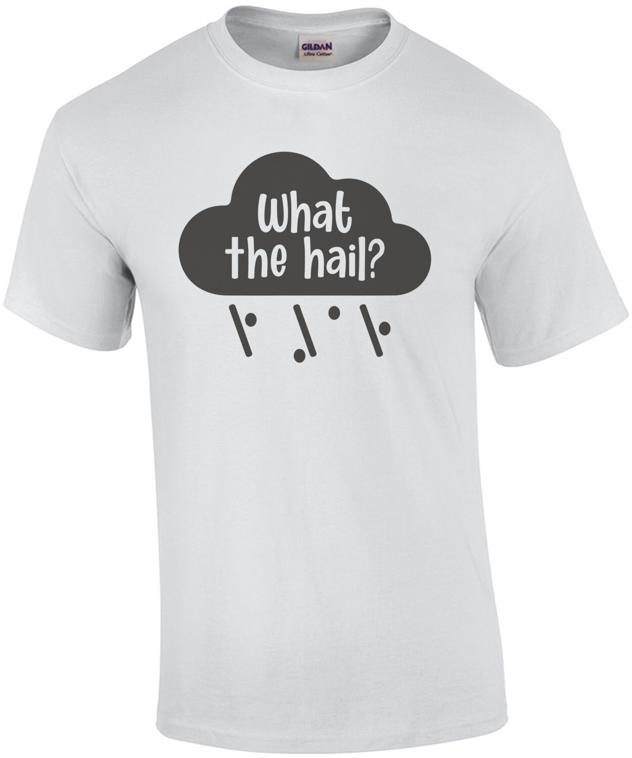 What The Hail? Funny Pun T-Shirt
