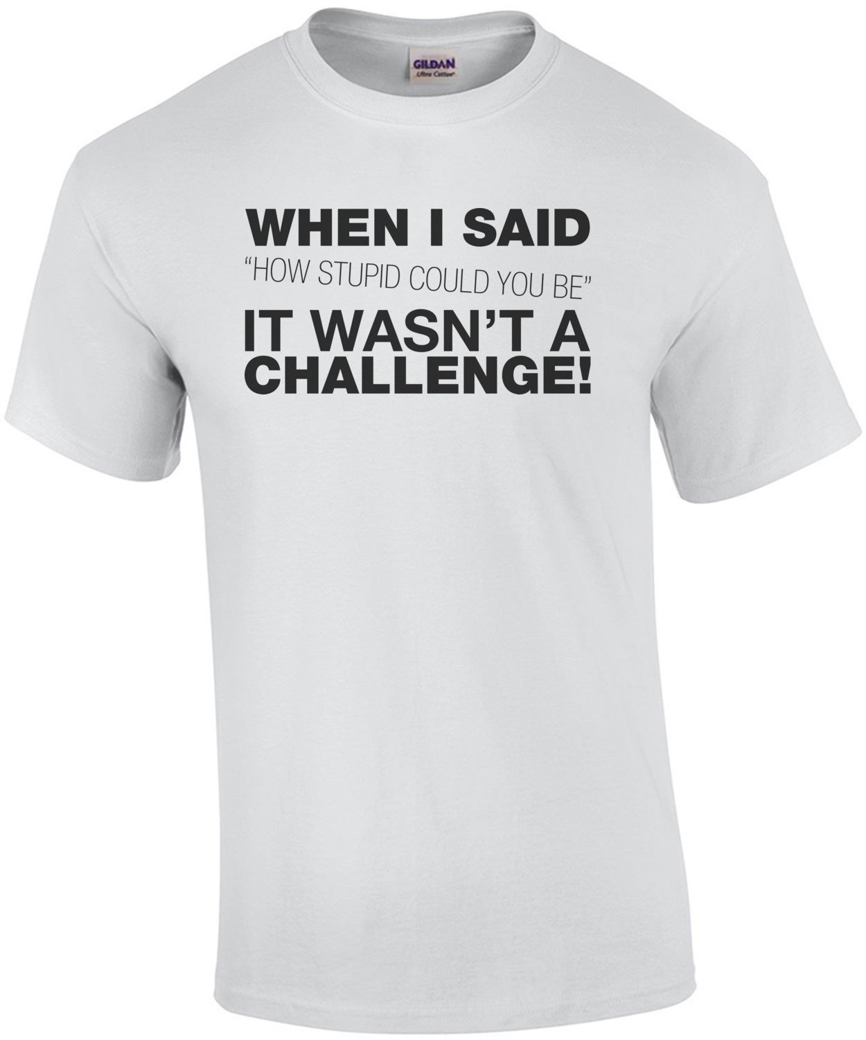 When I Said How Stupid Could You Be... T-Shirt
