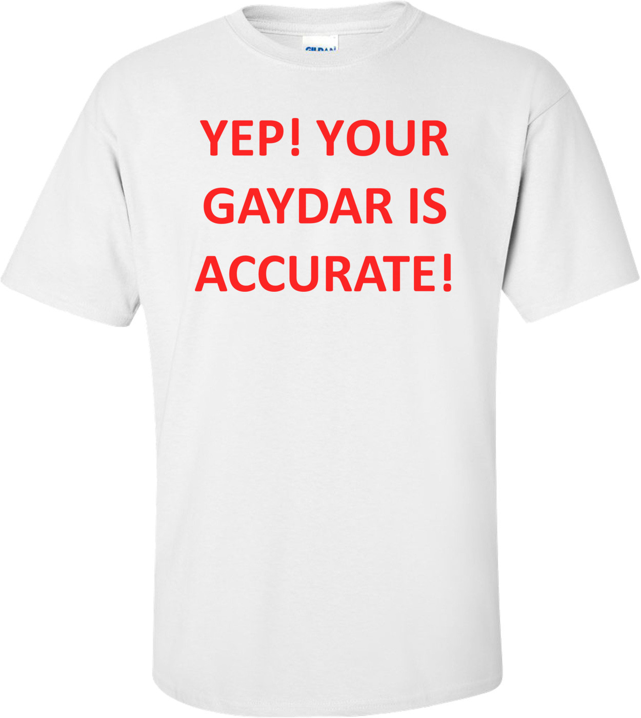 YEP! YOUR GAYDAR IS ACCURATE! Shirt