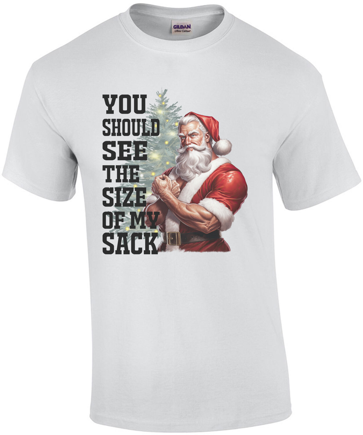 You should see the size of my sack - funny inappropiate offensive Christmas t-shirt