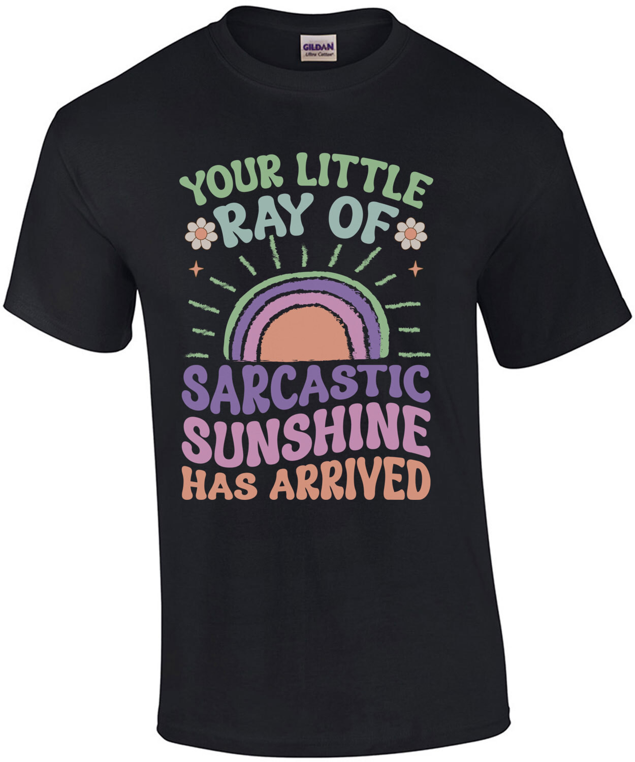 Your little ray of sarcastic sunshine has arrived. Funny T-Shirt