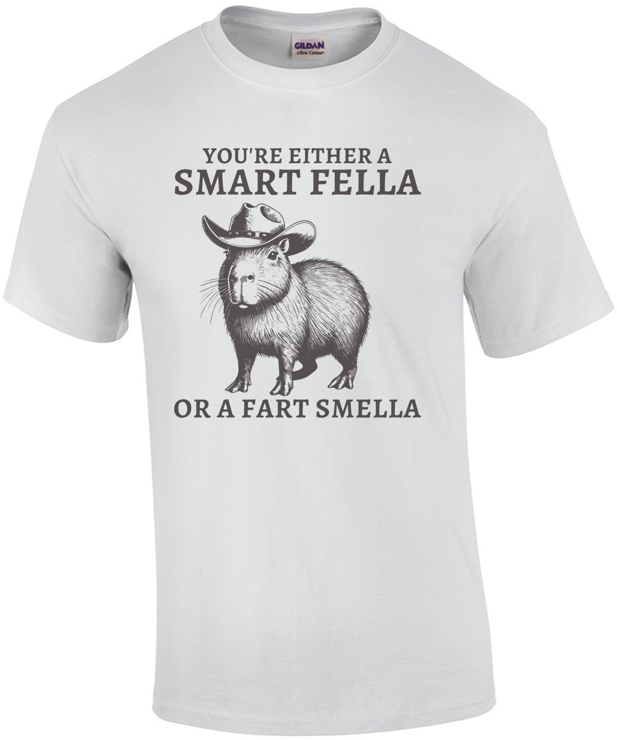You're either a smart fella or a fart smella - Funny Capybara vintage retro t-shirt