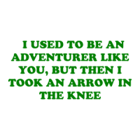   I USED TO BE AN ADVENTURER LIKE YOU, BUT THEN I TOOK AN ARROW IN THE KNEE Shirt