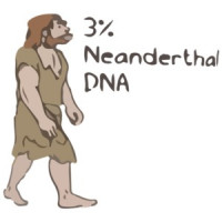 3% Neanderthal DNA - Funny Caveman T-Shirt