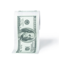 Money Toilet Paper