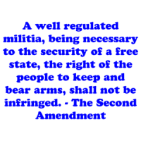 A well regulated militia, being necessary to the security of a free state, the right of the people to keep and bear arms, shall not be infringed. - The Second Amendment Shirt