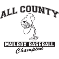 All County Mailbox Baseball Champion T-shirt