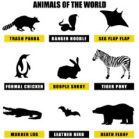 Animals of the world - funny animals t-shirt