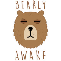 Bearly Awake - pun t-shirt