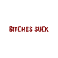 BITCHES SUCK Shirt
