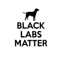 Black Labs Matter - Funny Black Labs Dog T-Shirt