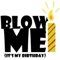 Blow me - It's my birthday - happy birthday t-shirt