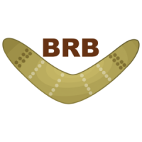 Brb Boomerang Funny Tee