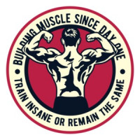Building Muscle Since Day One Train Insane Or Remain The Same Exercise Working Out T-Shirt