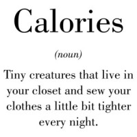 Calories Tiny Creatures That Live In Your Closet And Sew Your Clothes Tighter Shirt