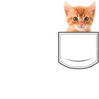 Cat in pocket - pocket pet t-shirt