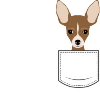 Chihuahua in pocket - pocket pet t-shirt