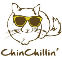 ChinChillin' Funny T-Shirt