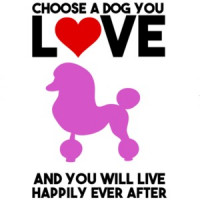 Choose a dog you love - poodle t-shirt