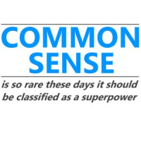 COMMON SENSE IS SO RARE THESE DAYS, IT SHOULD BE CLASSIFIED AS A SUPER POWER Shirt