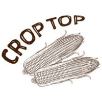Crop Top - Funny Ladies Pun T-Shirt